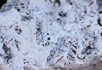 Close up of a naturally eroded gray stone with geometric pattern motif and textures. Close up brick shaped textured rock with repeating abstract patterns; background