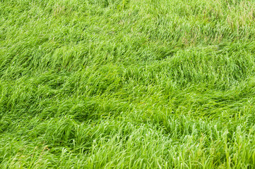 Texturas e padrões na bonita paisagem da Islândia