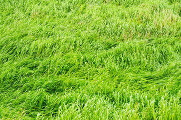 Texturas e padrões na bonita paisagem da Islândia