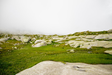 Fototapeta premium Mountain vegetation, boulders on top of mountain passes in the fog of clouds