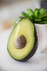 Avocado