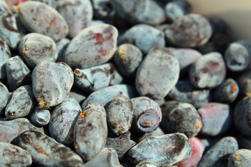 Ripe berry honeysuckle in a jar. Close-up. Background.