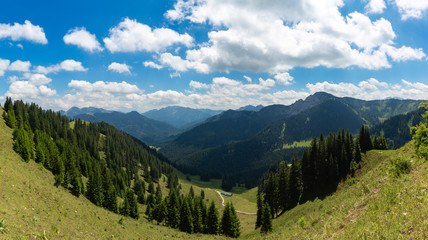 Fototapeta na wymiar Panorama view of the alps in summer