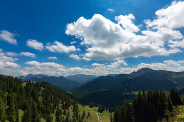 Panorama view of the alps in summer