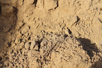 Sand for construction. Close-up. Background. Texture.