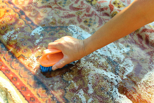 Hand Wash The Carpet. Carpet Washing Manually. Close-up.