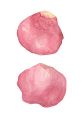 watercolor rose petals, for designer compositions.