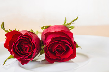 red rose on plate
