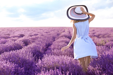 Fototapeta premium Młoda kobieta w lawendy polu na letnim dniu