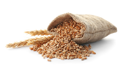 Sackcloth with wheat grains and spikelets on white background