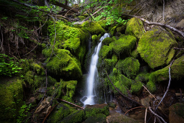 Enchanting Waterfall in Lush Forest - Avalanche Creek, Yosemite