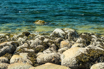 Fototapeta na wymiar rocks covered in algae on the ocean coast with clear water under the sun