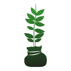 Plant in bag vector illustration graphic design