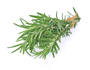 Rosemary isolated on white background