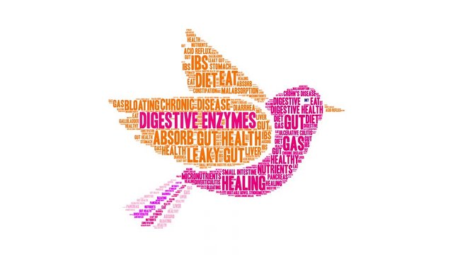 Digestive Enzymes Animated Word Cloud on a white background. 