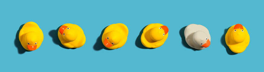 One out unique rubber duck concept on a blue background - obrazy, fototapety, plakaty
