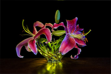 Stargazer Lily Still Life with green light painting
