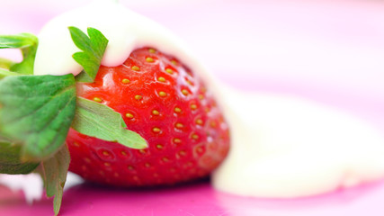 Macro closeup of fresh strawberry fruit with cream on pink background.
