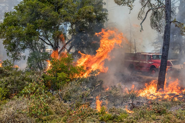 Firefighters Fighting Wildfire California