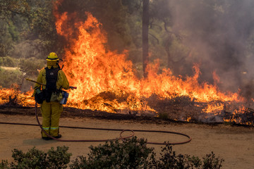 Firefighters Fighting Wildfire California