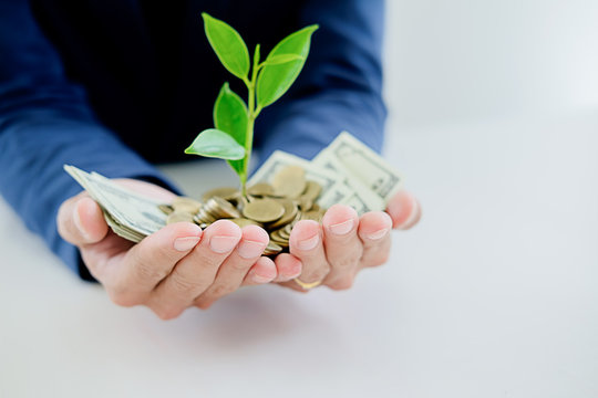 Close up of businessmen hands holding trees growth up on coin and banknote. Business growth concept.