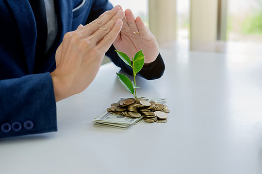 Protect new business start-up concept. Businessman protecting trees growth up on coin and banknote with hands and plant.