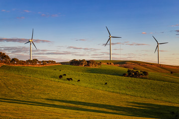The view of South Australia