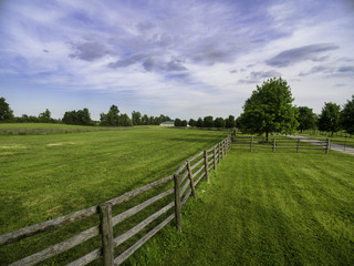 Fototapeta premium Horse farm ranch landscape in toronto canada 