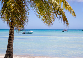 Caribbean Sea - Isla Saona