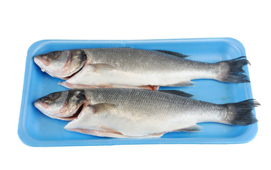 raw sea bass in the container for sale