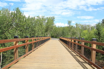Obraz premium On The Bridge, Mill Creek Ravine Park, Edmonton, Alberta