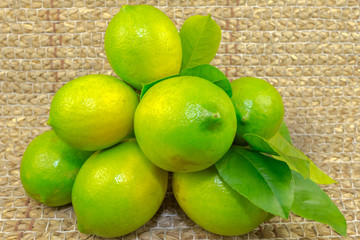 grappe de citrons verts à maturité 