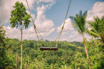 Wooden swing on cliff in the jungle. © Kitja