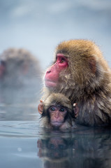 Fototapeta premium 親子温泉