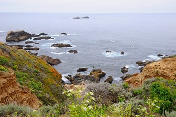 Fototapeta na wymiar Beautiful beach with colorful plants on rocks in Spring near Big Sur on 17 mile Drive in California, United States