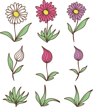 Colored Flowers and Leaves