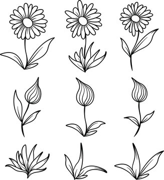 Flowers and Leaves Line Art