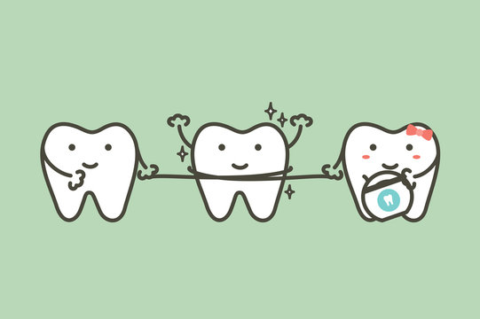 healthy teeth cleaning his friend by dental floss - tooth cartoon vector flat style
