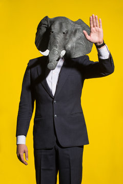 A Man In A Suit And An Elephant Mask On A Yellow Background. Conceptual Business Background