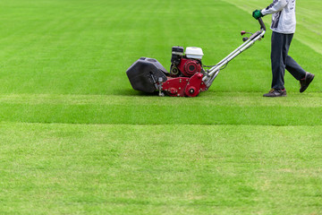 Worker guy shake pour grass from lawn mower bag into wheelbarrow. Garden meadow lawn cutting. Summer works in garden.