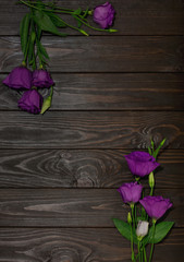 Violet flowers - eustoma, on a brown wooden background.