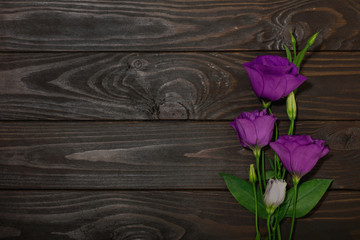 Violet flowers - eustoma, on a brown wooden background.