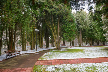 In the park in the fall, the first snow fell
