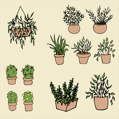 Set of decorative house plants
