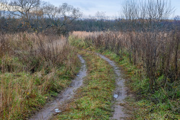 Dirty country trail through an agricultural field in late fall