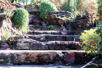 Footpath in the garden.