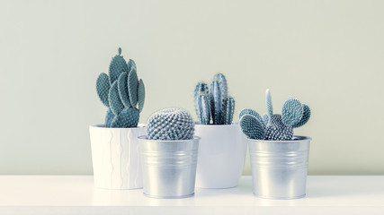 Cactus Fashion Set Design. Minimal Still Life. Trendy minimalism pop art style and colors cactus background. Contemporary Art.