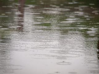 雨_1
