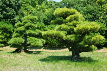 栗林公園（香川県）