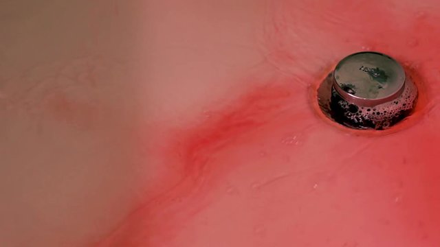Red blood being washed down a white bathtub drain.  Horror movie concept of bright red blood being cleaned up and going down the drain.